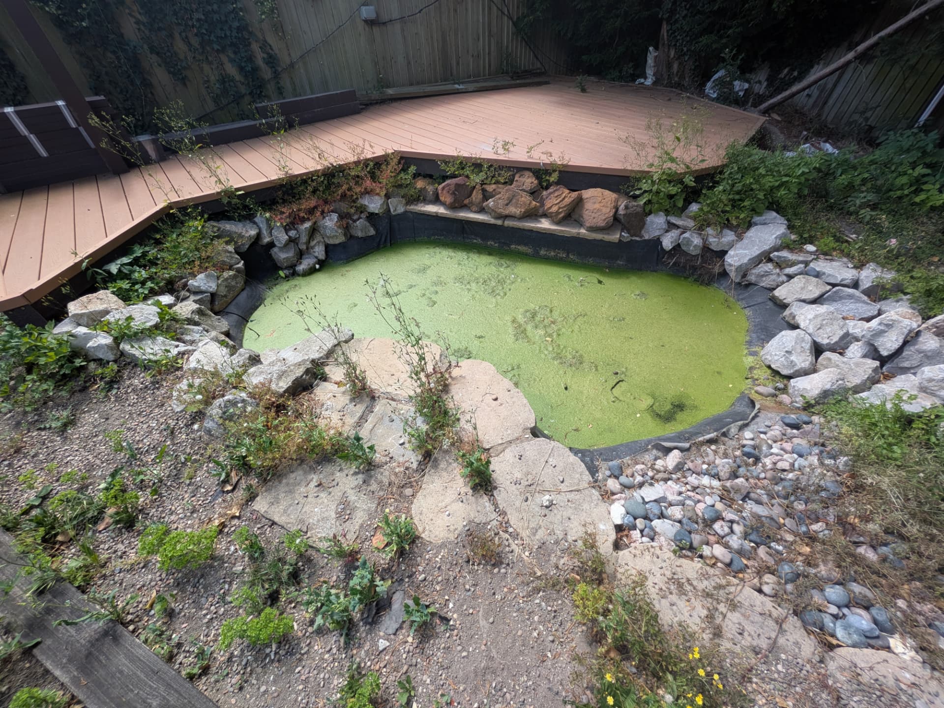 Pond clear & restore before
