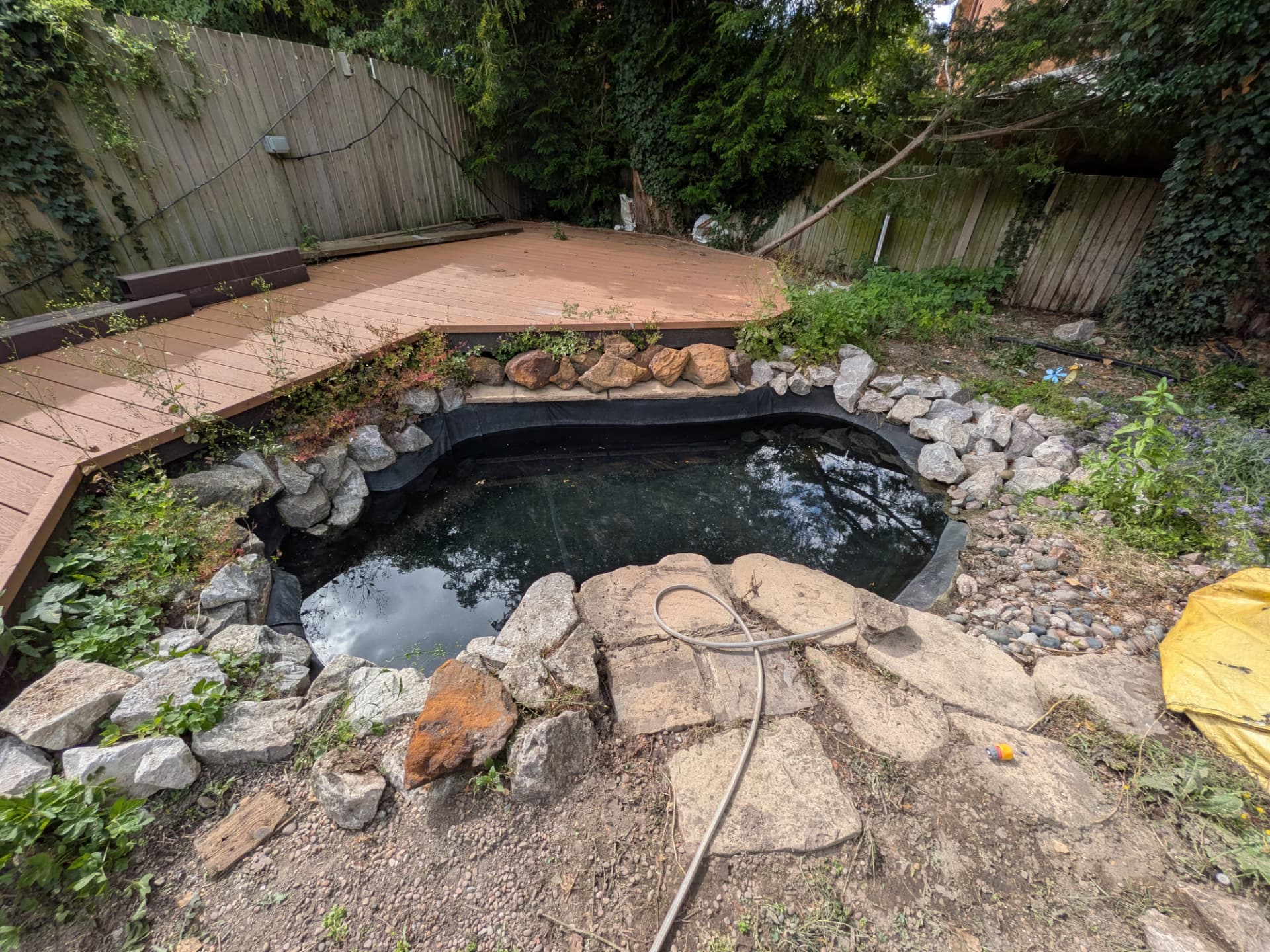 Pond clear & restore after